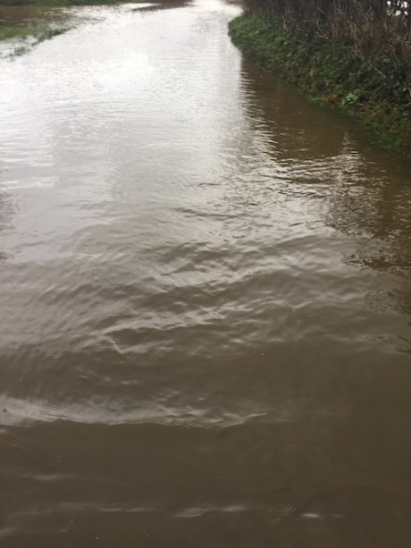 march10IMG_5020 copy