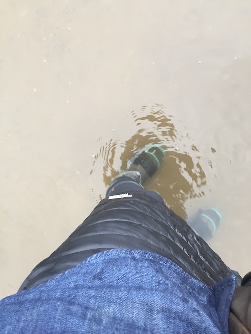 March10IMG_5021 copy