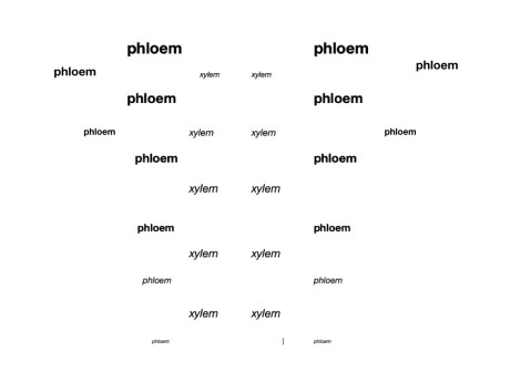pinonpoem_2b.001
