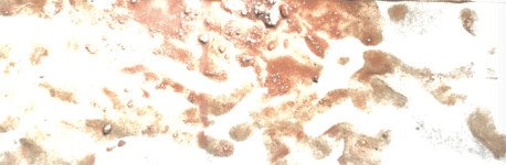 Screen Shot 2020-04-07 at 5.10.10 PM