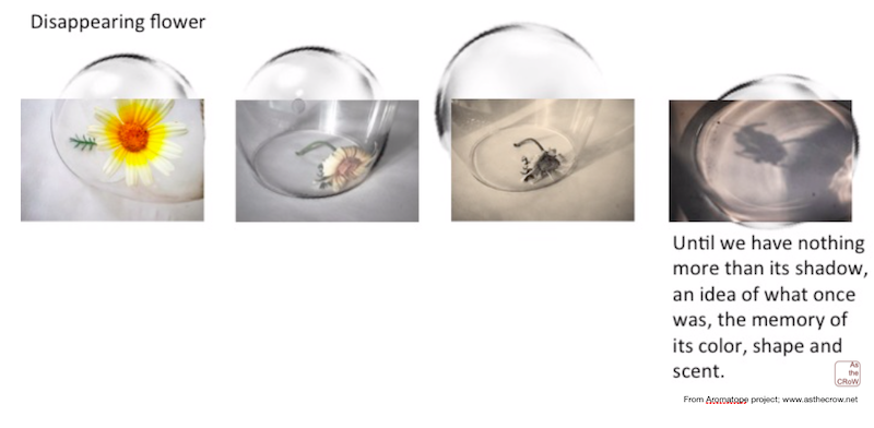 Screen Shot 2020-04-19 at 8.52.02 PM