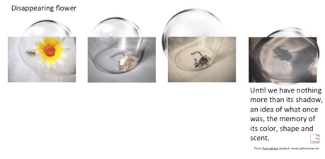 Screen Shot 2020-04-19 at 8.52.02 PM